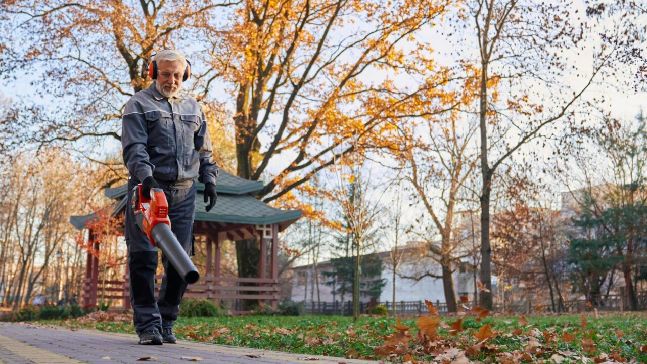 Questions to Ask Your Harrow Removal Company Before Moving Day